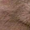 Natkat thumbnail