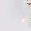 o.Soha.o thumbnail