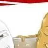 poojabi thumbnail