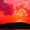 honeyblossom Thumbnail