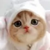kawaii_geet thumbnail