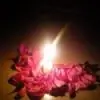 kashish_s2 thumbnail