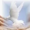 RaDMG25 thumbnail