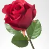 Whatif22 Thumbnail