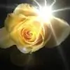 orshashah thumbnail