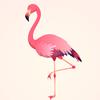 flamingoAK thumbnail