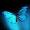 Bhawna_arti Thumbnail