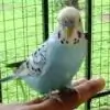 Kalpana_KaCy thumbnail