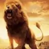 Courageous_Leo thumbnail