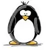 pingu.tingu thumbnail