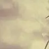 Mara.Dyer thumbnail