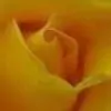 Asmi13 thumbnail