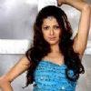 Cutedrashti Thumbnail