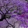 ongongong thumbnail