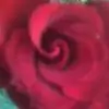 iriya Thumbnail