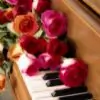 .pari. thumbnail
