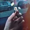 .Aashna. thumbnail