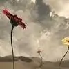beautiful_me thumbnail