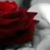 TSB10 thumbnail