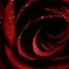 smitar thumbnail