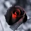 queenofdarkness thumbnail
