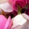 love_arsha thumbnail