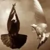 DarkDove thumbnail