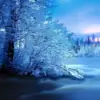 Snowy_Secret thumbnail