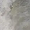 emu18 thumbnail
