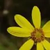 bindaas_me Thumbnail