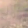 ArshiRaiguptha thumbnail