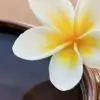 rosna thumbnail