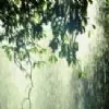 DikshaBaluja Thumbnail