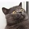 dushturain thumbnail