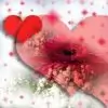 hanab29 thumbnail