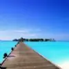 faiza1988 thumbnail