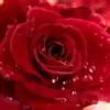 Srita Thumbnail