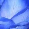 momb24 thumbnail