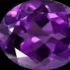 violet-amster thumbnail