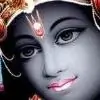 vandana73 thumbnail