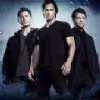 archies.bee thumbnail
