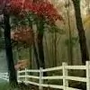 jeenia123 thumbnail