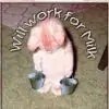 Hunnybunny3 thumbnail