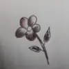 Jane_Doe thumbnail