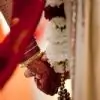 Neha_malhotra thumbnail