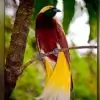deepa02 thumbnail