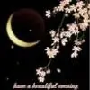 Silent_Wings thumbnail