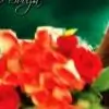 --Kittu-- thumbnail