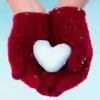 yogifalu thumbnail