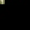 Vina23 thumbnail